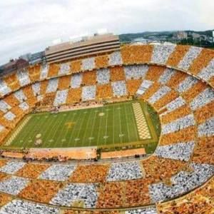 Meet your Posher, Jeri